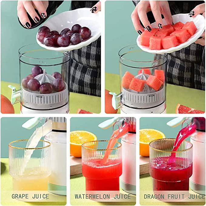 Electric Juicer