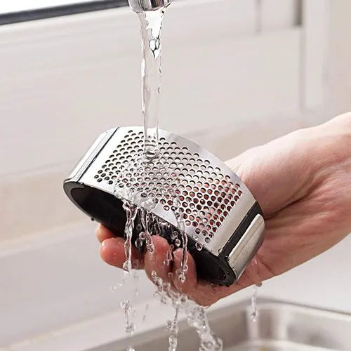 Stainless Steel Garlic Press